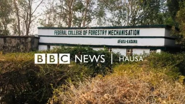 Ụlọakwụwkọ Forestry na Mechanisation