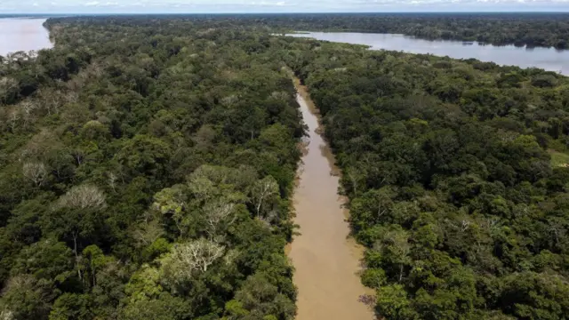 Vista aérea del Amazonas colombiano.