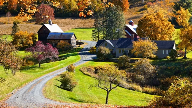 Paisagem rural com casas e plantas com folhas alaranjadas