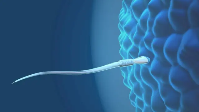 వీర్యం, క్యాన్సర్, మహిళ, ఫెర్టిలిటీ, యూకే, డెన్మార్క్