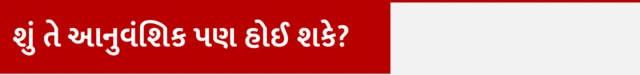 પેનિક ઍટેક, હૃદયરોગ, હેલ્થ, બીબીસી ગુજરાતી, ગુજરાત
