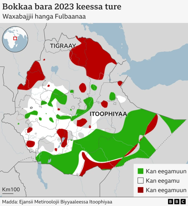 Bakkeewwan roobni itti roobeefi hanqate