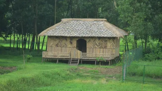 গাছ ঘর ঠান্ডা রাখে।