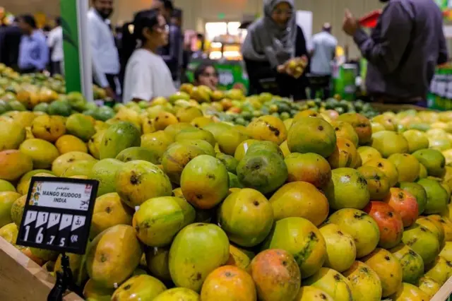 మామిడి పండ్లు