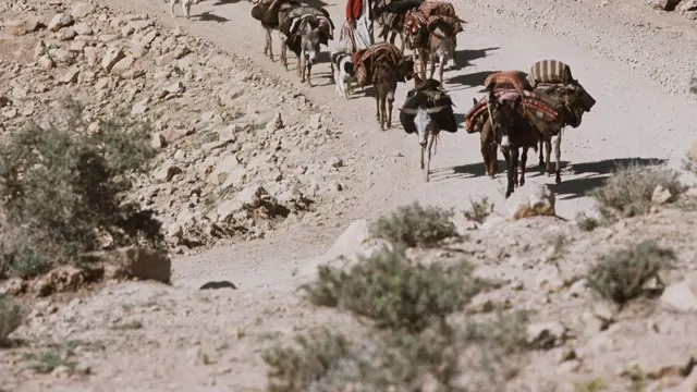 مسیر عبور چهارپایان باربر