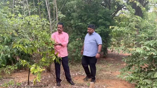 అనంతపురం-మియావాకీ