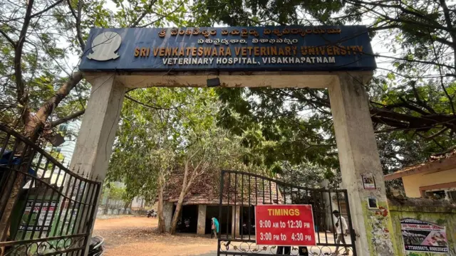 ఆంధ్రప్రదేశ్, పెంపుడు జంతువులు, ఆరోగ్యం
