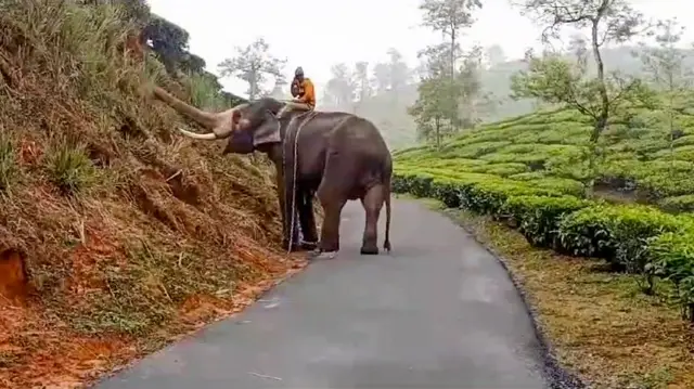 सांकेतिक तस्वीर