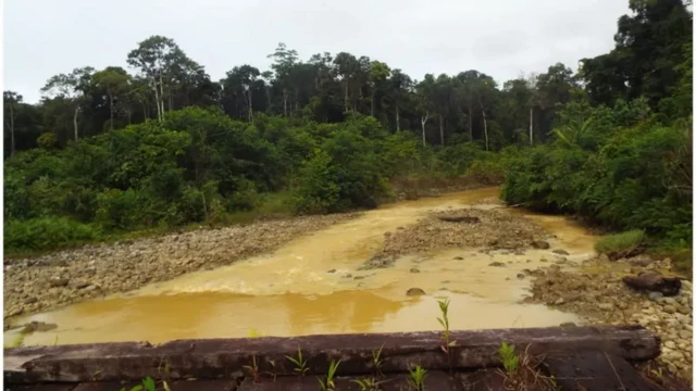 pencemaran limbah tambang papua