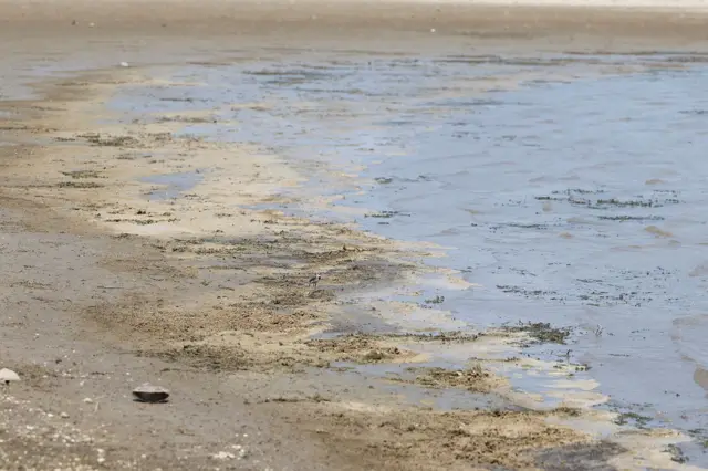 jezero gruža, presušilo jezero gruža