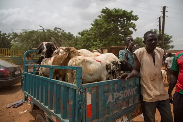 Des habitants se rendent au marché aux bestiaux pour acheter un animal destiné au sacrifice de l’Aïd al-Adha, la fête musulmane qui approche, aux abords de Ouagadougou, au Burkina Faso, le 10 septembre 2016.
