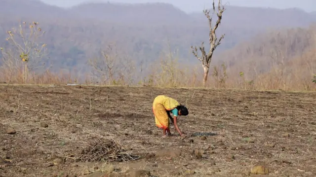 పోడు భూములు