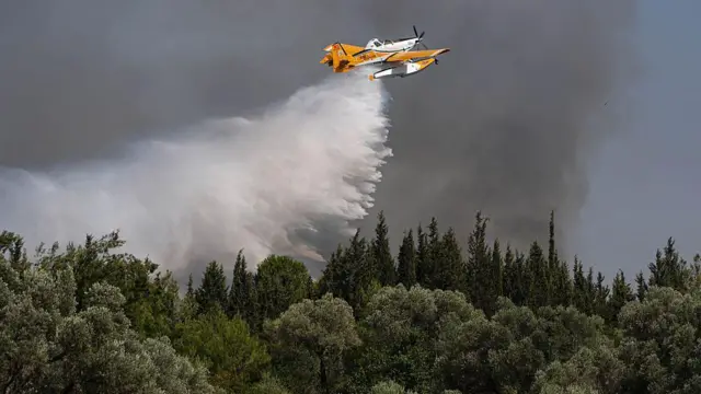 yangın uçağı ormana su atarken