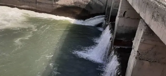 Рысгүл Акимжанова: Тамчылатып сугарууга өтпөсөк болбойт