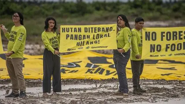 Aktivis lingkungan Greenpeace Indonesia mendesak food estate yang membuka tutupan hutan dihentikan.