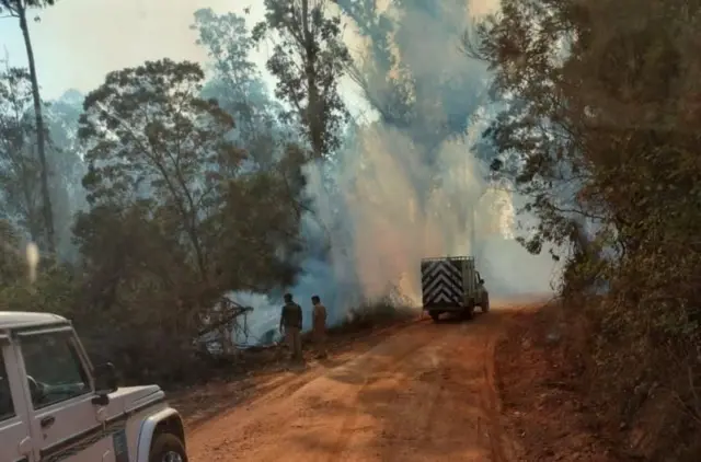 భారతదేశం, తమిళనాడు, వాతావరణం, అడవులు, పర్యావరణం