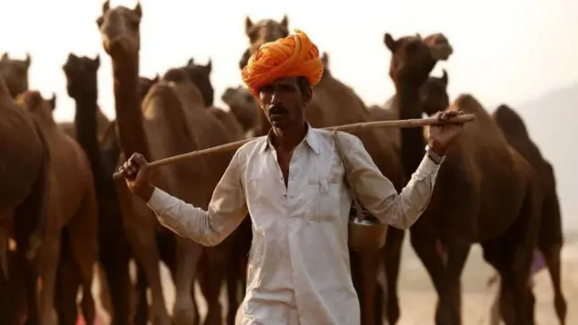 இடஒதுக்கீடு