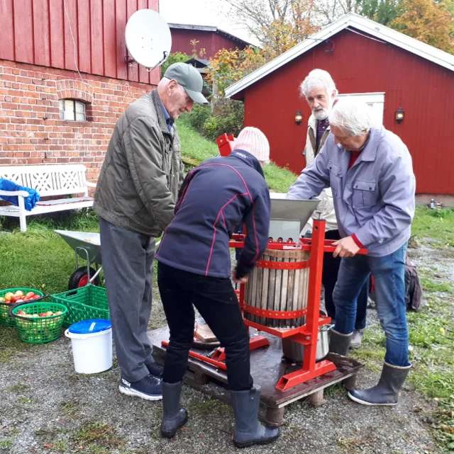 ਡਿਮੈਂਸ਼ੀਆ