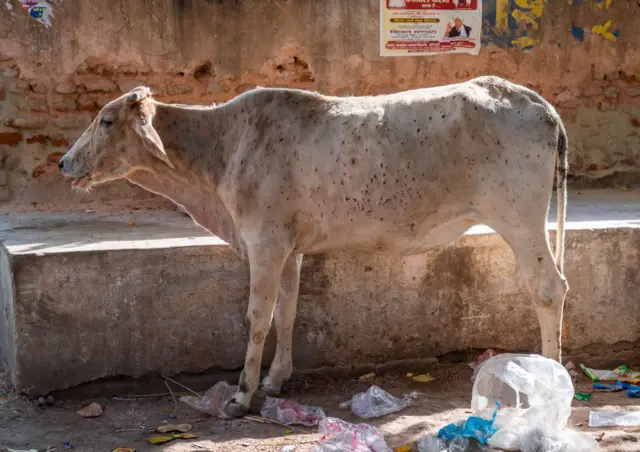  प्रातिनिधिक फोटो