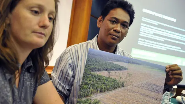 papua, lingkungan, hutan