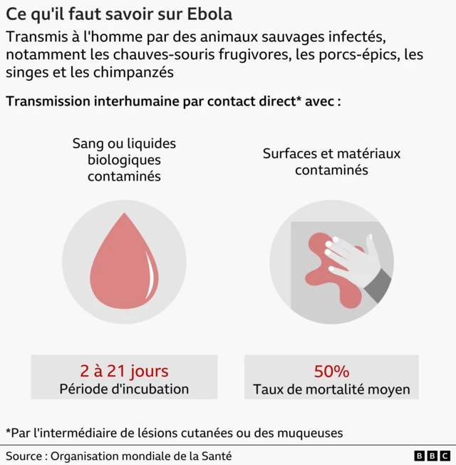 Carte qui explique le mode de transmission d'Ebola.