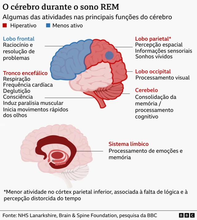 Gráfico mostra áreas do cérebro