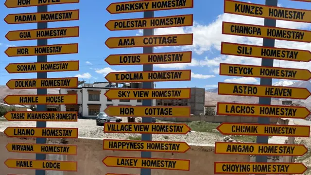 Hanley homestays
