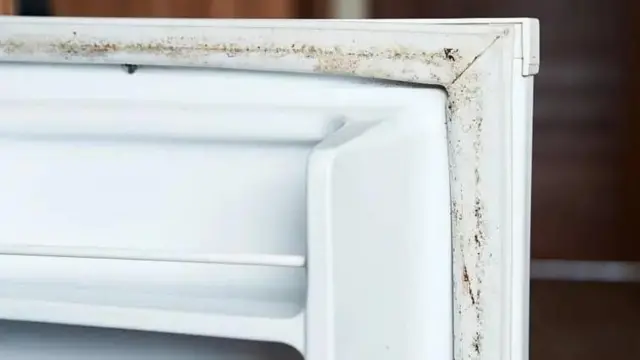 Lazima uhakikishe kuwa mipira haina ukungu na uchafu.