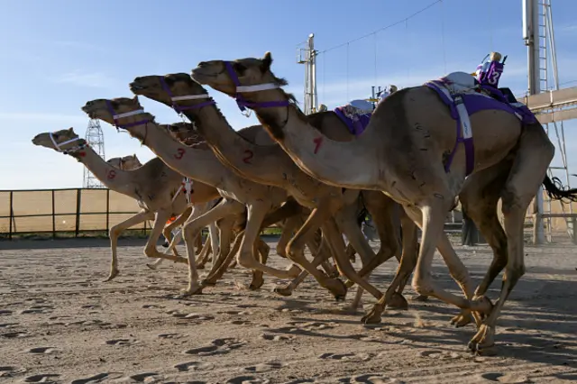 اوښلوبه