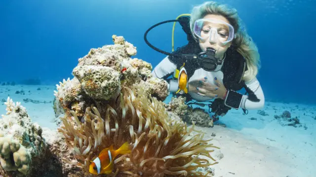 கடல் வெப்பம்