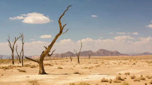 Ubushyuhe n'ubukonje bukabije buba muri ubu butayu butuma kuhatura bisa n'ibidashoboka