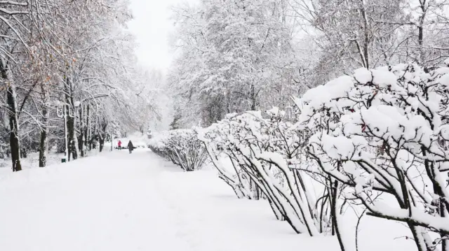બૉમ્બ સાયક્લોન, બૉમ્બ વાવાઝોડું, દરિયાકિનારો, તોફાન, ભારે પવન, પૂર, વિનાશ, ભૂસ્ખલન, કુદરતી આપત્તિ, અમેરિકા, બીબીસી ગુજરાતી 