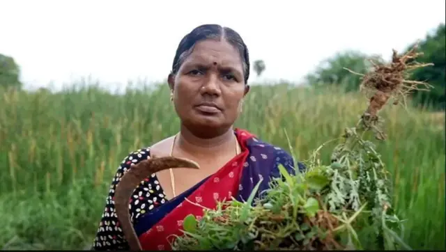 باغی کمانڈر