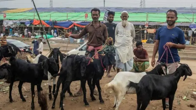কোরবানির পশুর হাট