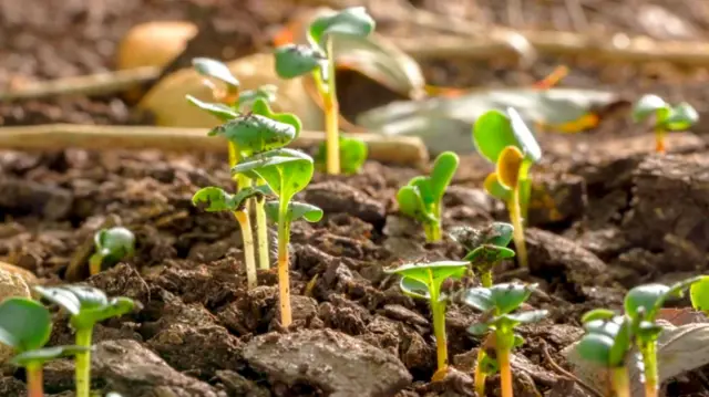 ஏலியன்கள் இருக்கிறார்களா?