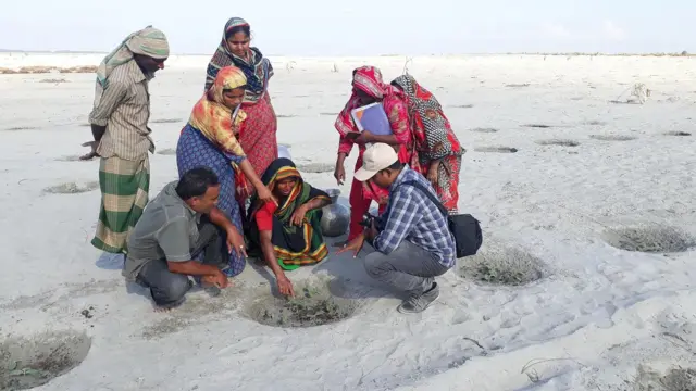 दुष्काळ सहन करण्याच्या क्षमतेमुळे पाण्याची कमतरता असलेल्या प्रदेशांसाठी भोपळा एक आदर्श वनस्पती आहे. 