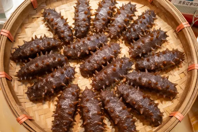 సీ కుకుంబర్