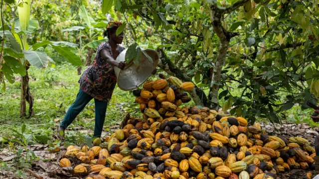 Femme versant du cacao dans sa casserole