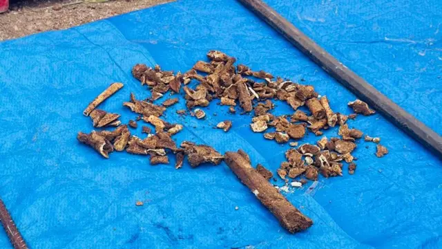 අතුරුදන් වූවන්ගේ පවුල්වල ඥාතීන් ද සමූහ මිනිවළේ කටයුතු සඳහා මැදිහත්ව ඇත්තේ අතුරුදන් වුවන් එහි වළ දමා ඇතැයි යන සැකයෙනි.