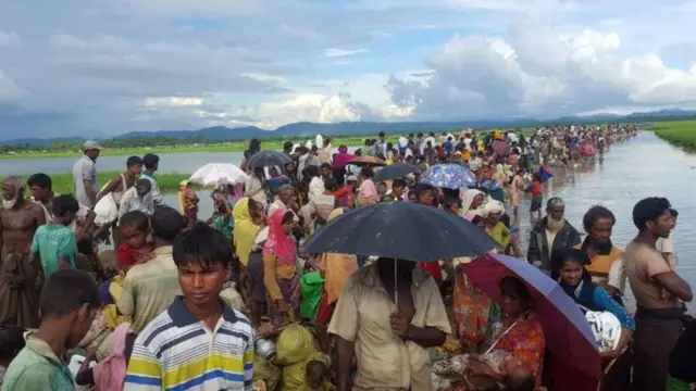মিয়ানমারে নির্যাতন থেকে বাঁচতে ১১ লাখের বেশি রোহিঙ্গা পালিয়ে বাংলাদেশে আশ্রয় নিয়েছে