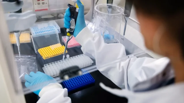 Les scientifiques commencent à découvrir certaines des nombreuses variantes génétiques associées à l'autisme.