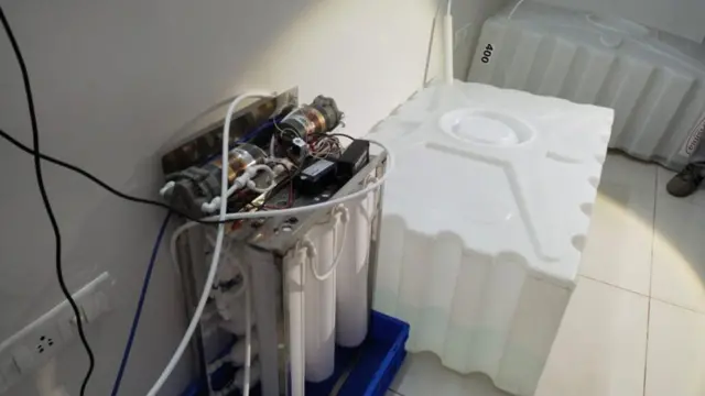 ફ્લૅટમાં ગાંજાની ખેતી