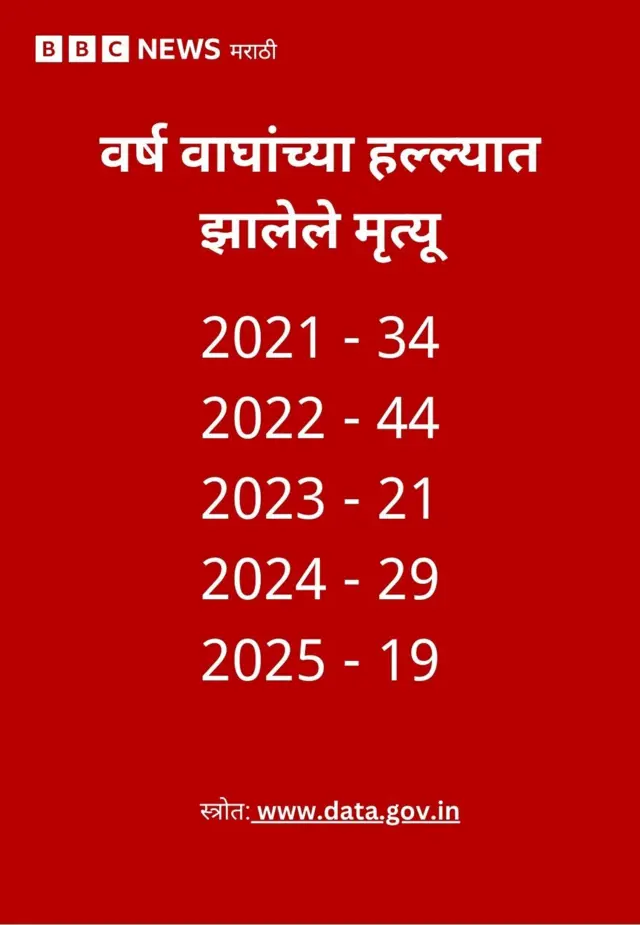 वाघांचा हल्ला