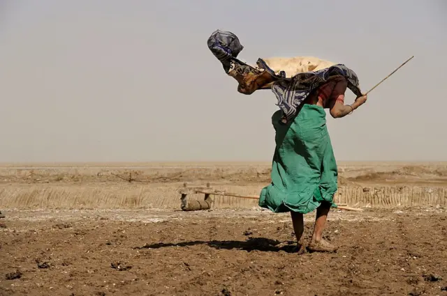 કચ્છનું નલિયા, નલિયા ગુજરાતનું સૌથી ઠંડુ સ્થાન, નલિયા ગુજરાતનું સૌથી ગરમ સ્થાન, જનજીવન ઠપ, પારો ઝીરો