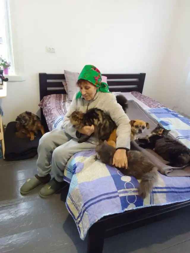 Жінка сидить на ліжку, навколо неї тварини 