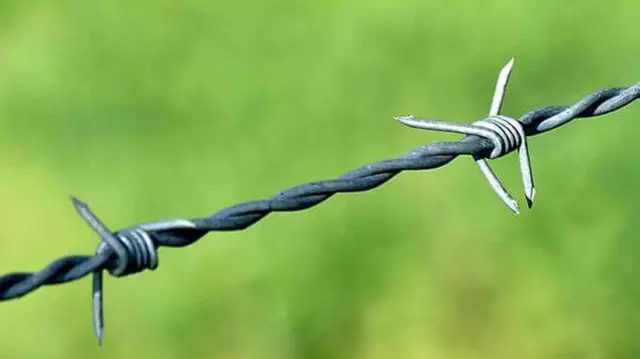বাংলাদেশি দুই কৃষককে ধরে নিয়ে গেছে বিএসএফ