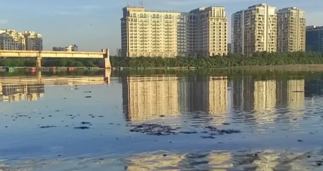 அடையாறு