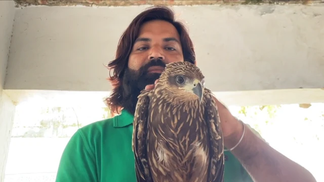 முகமது ஆரிஃபை தோழமையுடன் தேடி வந்த கொண்ட இன்னொரு பறவை