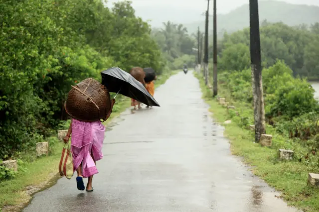 मान्सून