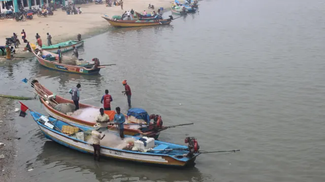 அதானி துறைமுக விரிவாக்கத் திட்டத்தால் பழவேற்காடு ஏரி அழிந்துவிடுமா? உண்மை என்ன? கள நிலவரம்